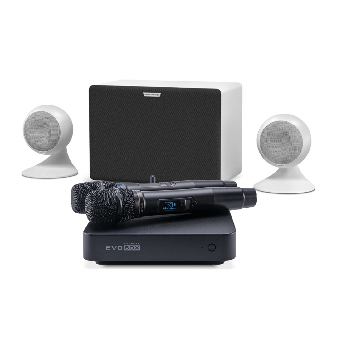 караоке-комплект EVOBOX Classic + EvoSound Sphere 2.1 в Тверской области