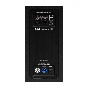 Активная акустическая система AST-310A в Тверской области