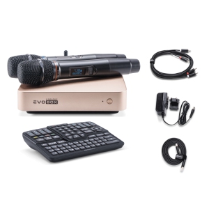 EVOBOX Classic караоке-система для дома в Тверской области