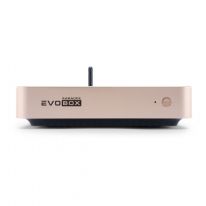 EVOBOX Plus караоке-система для дома в Тверской области
